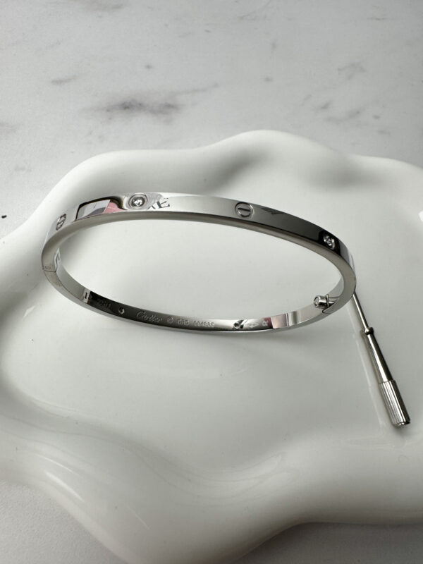 Love Pequeña Plata con Zirconias - Image 3