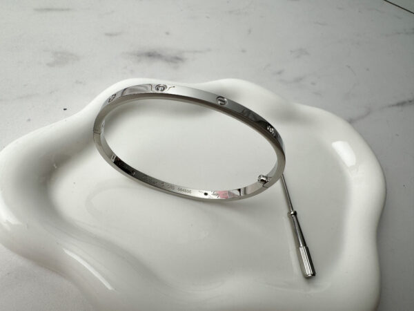 Love Pequeña Plata con Zirconias - Image 5